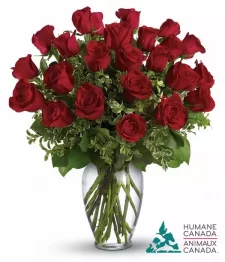 Humane Canada Collection VIII