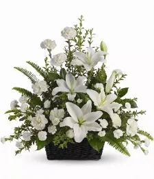 Peaceful White Lilies