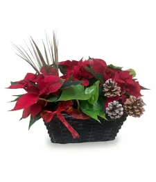 Panier de Jardinière de Noël