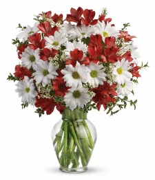 Danser en marguerites