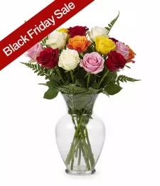 Dozen Mixed Roses