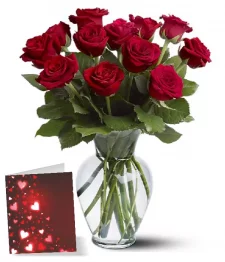 12 longues roses rouges