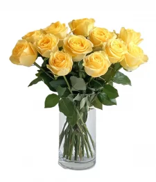 12 Roses Jaunes
