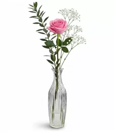 Pink Rose in Bud Vase