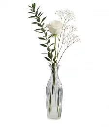 White Rose in Bud Vase