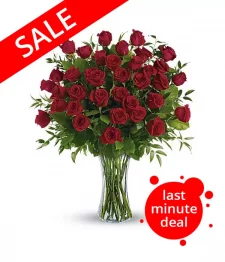 Trois Douzaines Roses Rouges Longue Tige