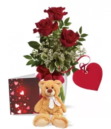 Speciale Roses et Ours en Peluche 