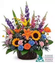 Humane Canada Collection XIII