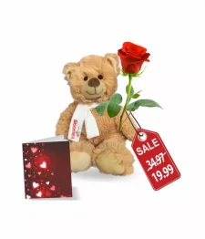 Teddy, Rose & Card