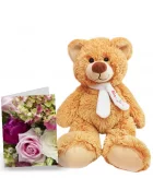 Ours en peluche et carte spéciale