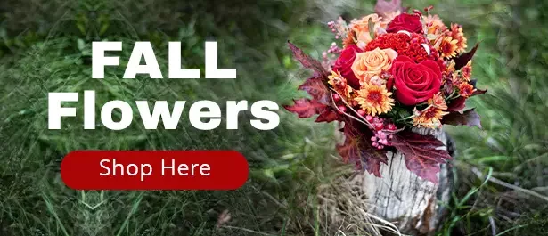 https://legacy-ca-resources-prod.s3.ca-central-1.amazonaws.com/slider/webp/slider_FallFlowers_Oct2025.webp