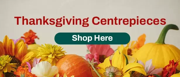 https://legacy-ca-resources-prod.s3.ca-central-1.amazonaws.com/slider/webp/slider_Thanksgiving_EN.webp
