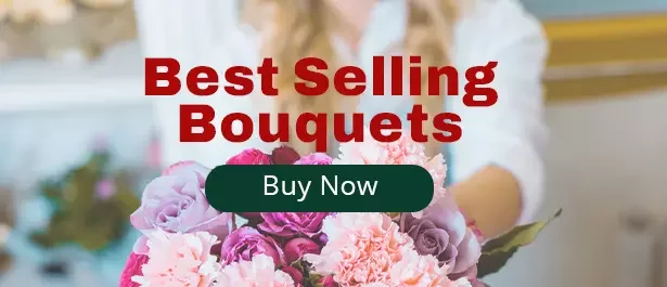 https://legacy-ca-resources-prod.s3.ca-central-1.amazonaws.com/slider/webp/slider_TopSellers2025_EN.webp