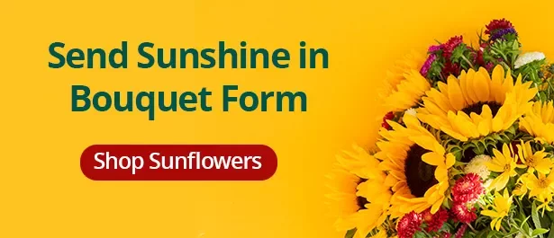 https://legacy-ca-resources-prod.s3.ca-central-1.amazonaws.com/slider/webp/slider_slider_Sunflowers_EN2.webp