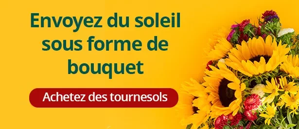 https://legacy-ca-resources-prod.s3.ca-central-1.amazonaws.com/slider/webp/slider_slider_Sunflowers_FR.webp